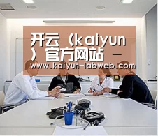 研发能力标题二